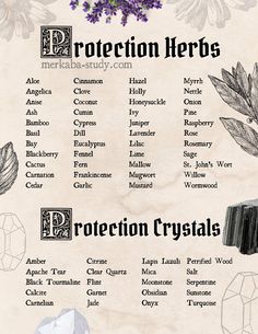 Protection Herbs, Protection Spell Jar, Spell Witchcraft, Tarot Significado, Spells For Beginners, Witch Things, Magia Das Ervas, Protection Spell, Spell Jars