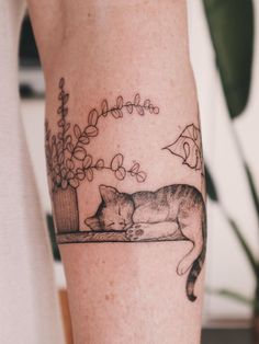 a black and white photo of a cat laying on the ground next to a potted plant