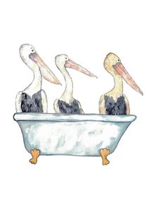 three pelicans are sitting in a bathtub