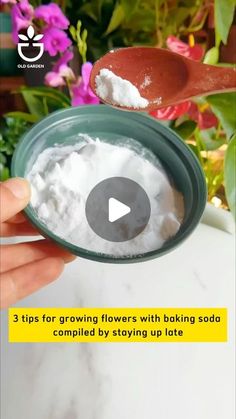 a person is spooning some white powder into a bowl with flowers in the background