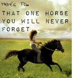 That one horse. by Leia-Princess-of-the-galaxy Inspirational Horse Quotes, Riding Quotes, Last Ride, Horse Names, Wallpaper Tumblr, Horse Quotes, Horse Crazy