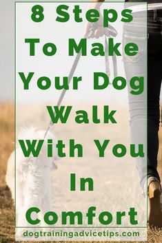 a woman walking her dog with the words 8 steps to make your dog walk with you in comfort