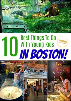 the top ten things to do with young kids in boston, including zoos and parks