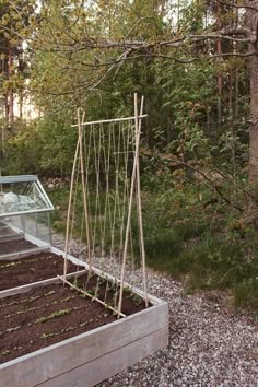 a garden bed with plants growing in it