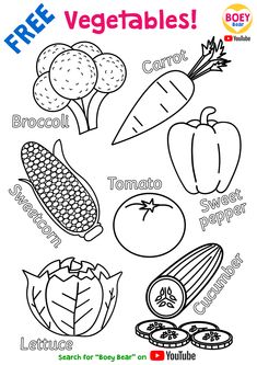 Colour The Vegetables Worksheet, Fruit And Veg Activities For Preschool, Fruit And Vegetables Worksheet Preschool, Vegetables Kindergarten Activities, Coloring Fruits For Kids, Vegetable Coloring Pages Free Printable, Fruits Colouring Pages For Kids, Fruits Coloring Pages For Kids, Vegetables Worksheets Kindergarten