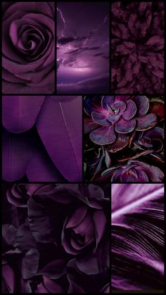 purple flowers and leaves are shown in this collage with the same color as the background