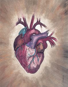 a drawing of a human heart on a gray background with the sun shining through it