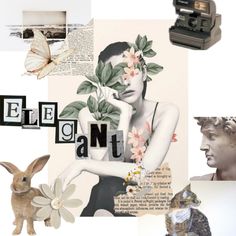 a collage of photos with an old camera, rabbit, and flowers on it