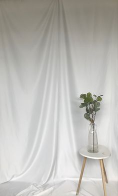 a vase with flowers on a table in front of a white backdrop