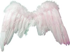 pink and white feathered wings on a white background