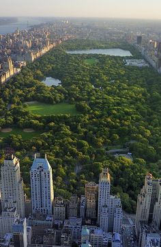 an aerial view of the central park in new york city, with lots of trees