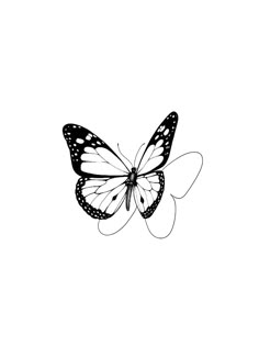 a black and white photo of a butterfly