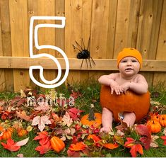 a baby sitting in the grass next to some pumpkins and a number five sign