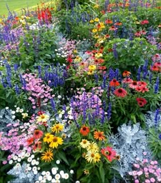 an image of flowers that are in the grass with text on it saying, write a comment