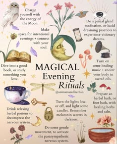 Nature Affirmations, Hearth Magic, Hearth Witch, Pagan Practices, Planting Plants, Relaxing Candles