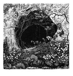 an old black and white drawing of a cave in the woods with wildflowers