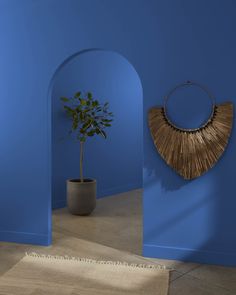 a potted plant sitting next to an arch in a blue walled room with a rug on the floor