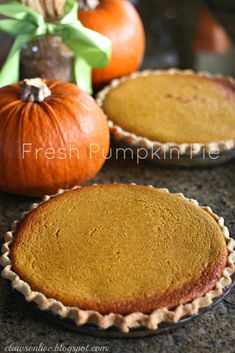 two pumpkin pies sitting on top of a counter