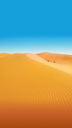 an image of a desert scene with blue sky in the back ground and sand dunes to the side