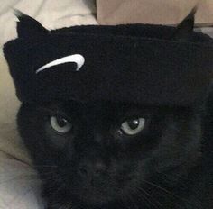 a black cat wearing a nike hat on top of it's head and looking at the camera