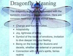 a dragonfly sitting on top of a piece of paper with words written below it