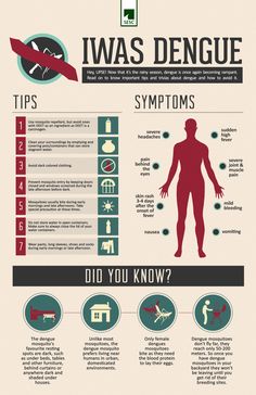 If Your Kidneys Are In Danger, Your Body Will Give You These 7 Signs – Koperacija For your health, the kidneys are essential because they detoxify and cleanse the body by filtering 10-150 quarts of... Disease Infographic, Dairy Free Breastfeeding, Eye Pain, Infographic Poster, Survival Life Hacks