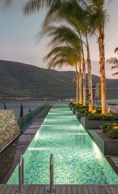 an outdoor swimming pool surrounded by palm trees