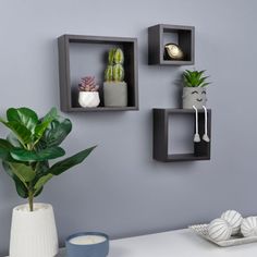 three shelves on the wall with plants in them