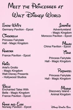 the princesses at walt world poster