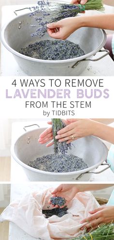 4 ways to remove dried lavender buds from the stems. Grab your pillowcase! Yep . . . your pillowcase. Let me show you why! #lavender #lavenderbuds #driedlavender #lavenderharvest #lavenderbundle #removebuds #lavendercrafts #lavenderoil #lavenderessentialoil #pillowcase Dried Lavender Wreath Diy, Lavender Ideas Diy, Drying Lavender Diy, Dried Lavender Arrangements, Lavender Diy Ideas, Lavender Bags Ideas, Lavender Crafts Ideas, Diy Lavender Bags, Lavender Things