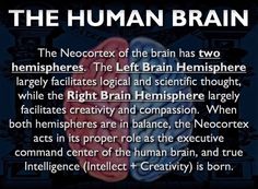 Left Brain Right Brain, Jungian Psychology, Abnormal Psychology, Left Brain, Comfort Words, Brain Anatomy, Planetary Science, Awakening Quotes