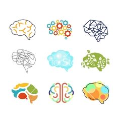 six different types of brain shapes