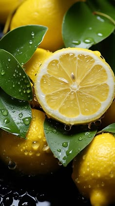 lemons with leaves and water droplets on them