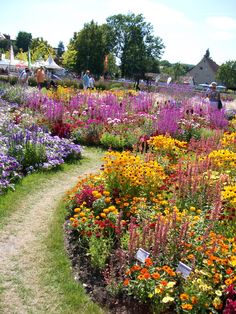 a garden filled with lots of colorful flowers