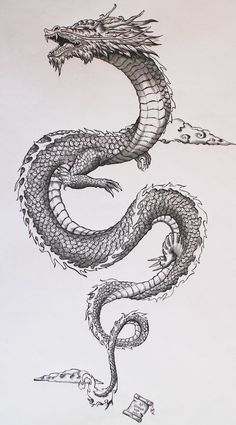 an image of a dragon drawn on paper