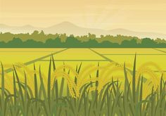 a field with grass and mountains in the background is featured on this poster for an article about growing wheat