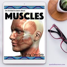 an ipad with the cover of musclees on it next to glasses and succulents