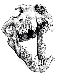 an animal skull with its mouth open and teeth missing from it's jaw, in black and white