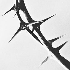 black and white photograph of scissors in the air with sharp lines coming out of them