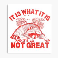 a raccoon with the words it's what its and it's not great