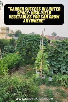 there is a garden with plants growing in it and the words garden success in limited space