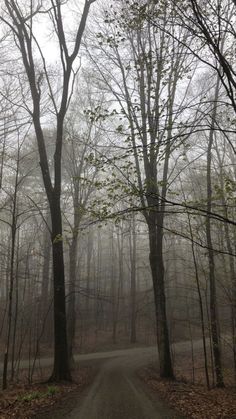 a dirt road surrounded by trees and leaves