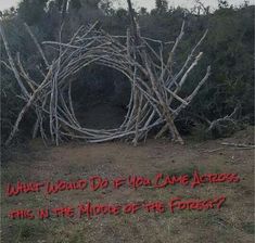 a bunch of sticks that are sitting in the grass with some writing on them,