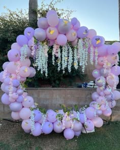 a bunch of balloons that are on the ground in front of some flowers and plants