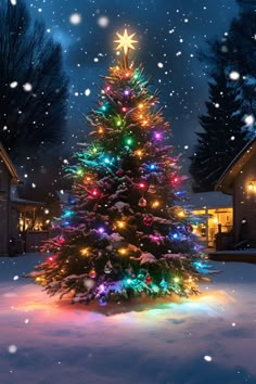 a brightly lit christmas tree in the snow