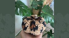 a hand holding a small knitted pumpkin in front of a potted palm tree