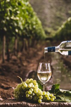 a bottle of wine being poured into a glass next to some white grapes and leaves