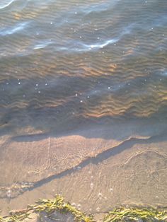 the water is so clear that you can see it's ripples