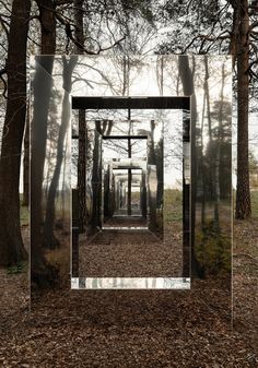 a mirror in the middle of a forest filled with trees