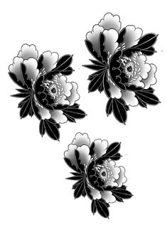 three black and white flowers on a white background